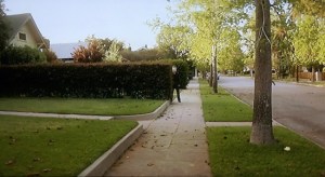 halloween-hedge